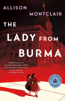 book cover for The Lady from Burma