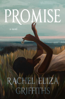 book cover for Promise