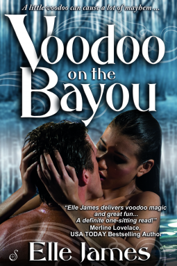 book cover for Voodoo on the Bayou