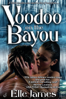 book cover for Voodoo on the Bayou