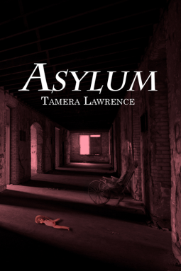 book cover for Asylum
