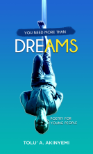 book cover for You Need More Than Dreams