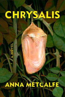 book cover for Chrysalis