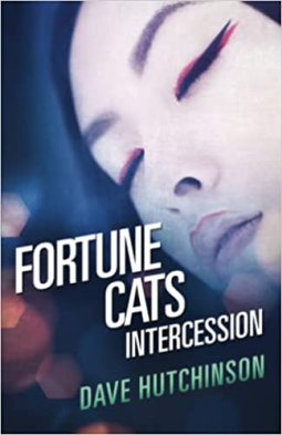 book cover for Fortune Cats Intercession