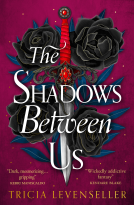 book cover for The Shadows Between Us