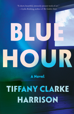 book cover for Blue Hour
