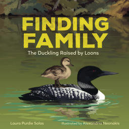 book cover for Finding Family
