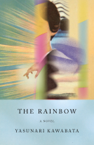 book cover for The Rainbow