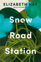 book cover for Snow Road Station