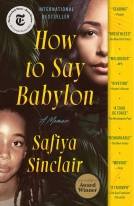 book cover for How to Say Babylon