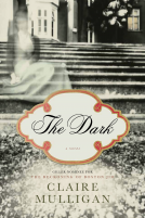 book cover for The Dark
