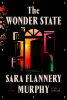 book cover for The Wonder State