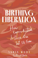 book cover for Birthing Liberation
