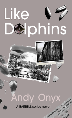 book cover for Like Dolphins