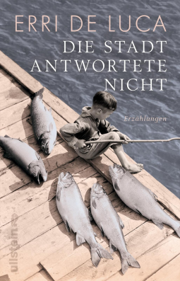 Buchcover für Die Stadt antwortete nicht