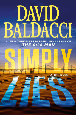 book cover for Simply Lies