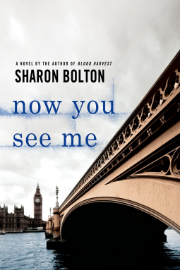 book cover for Now You See Me