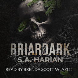 book cover for Briardark