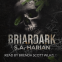 book cover for Briardark