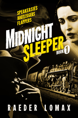 book cover for Midnight Sleeper