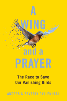 book cover for A Wing and a Prayer