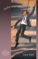book cover for Joyful Orphan