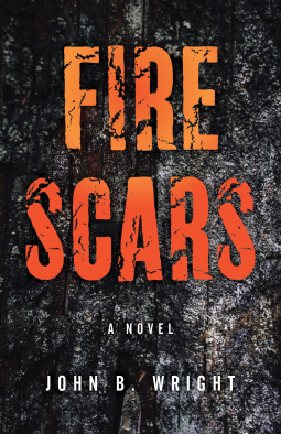 book cover for Fire Scars