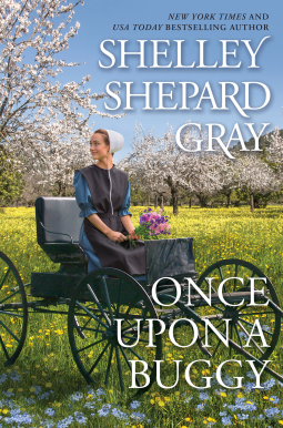 book cover for Once Upon a Buggy
