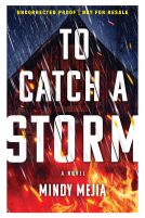 book cover for To Catch a Storm