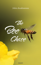 book cover for The Bee Chase