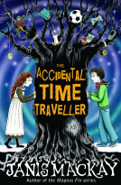 book cover for The Accidental Time Traveller