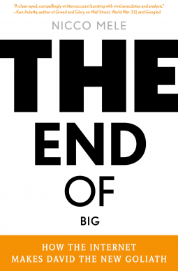 book cover for The End of Big