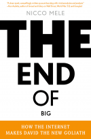 book cover for The End of Big