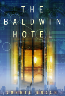 book cover for The Baldwin Hotel
