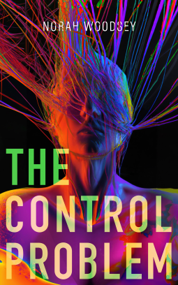 book cover for The Control Problem