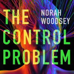 book cover for The Control Problem