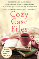 book cover for Cozy Case Files, Volume 17