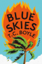 Cover Image: Blue Skies