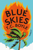 book cover for Blue Skies