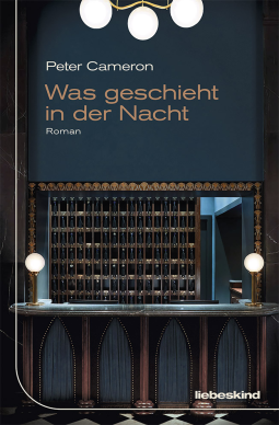 Buchcover für Was geschieht in der Nacht