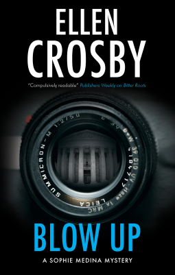 book cover for Blow Up