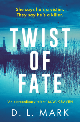 book cover for Twist of Fate