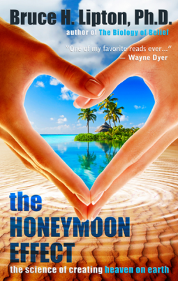 book cover for The Honeymoon Effect