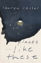 book cover for Places Like These