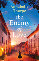 book cover for The Enemy of Love