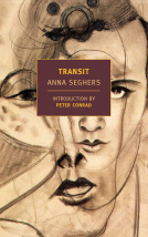 book cover for Transit