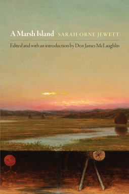 book cover for A Marsh Island