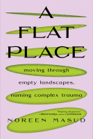 book cover for A Flat Place