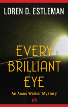 book cover for Every Brilliant Eye