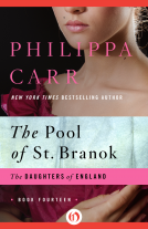 book cover for The Pool of St. Branok